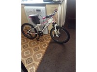 carrera luna 24 pink